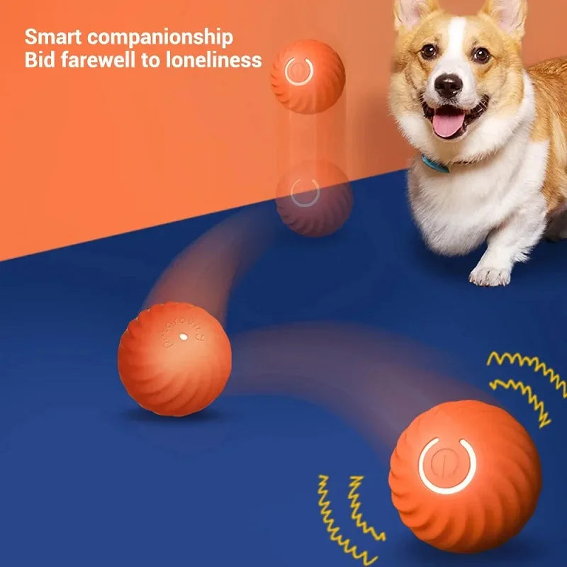 Dog Toy Ball Automatic