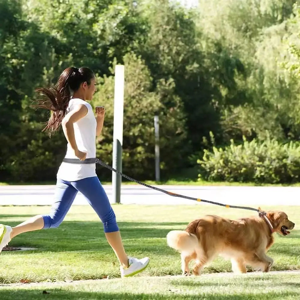 2025 NEW Cat Dog Hands-Free Leash Outdoor Sports Running Reflective Elastic Dog Walking Leash Chain Adjustable Pet Supplies