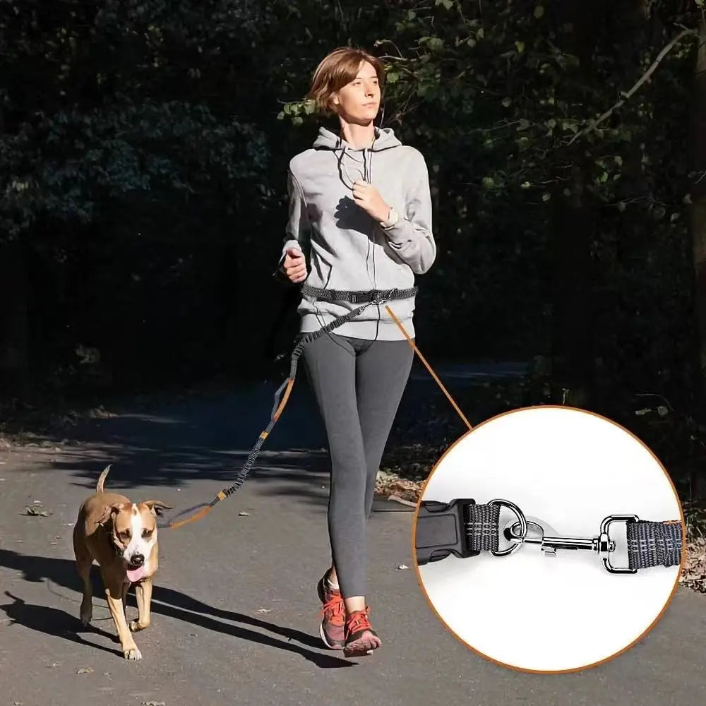 2025 NEW Cat Dog Hands-Free Leash Outdoor Sports Running Reflective Elastic Dog Walking Leash Chain Adjustable Pet Supplies