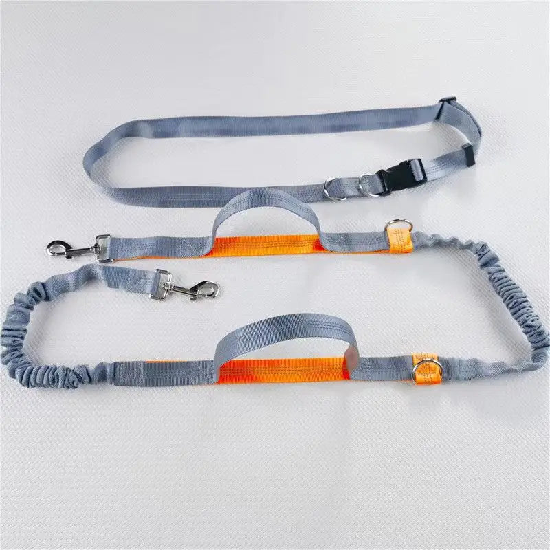 2025 NEW Cat Dog Hands-Free Leash Outdoor Sports Running Reflective Elastic Dog Walking Leash Chain Adjustable Pet Supplies