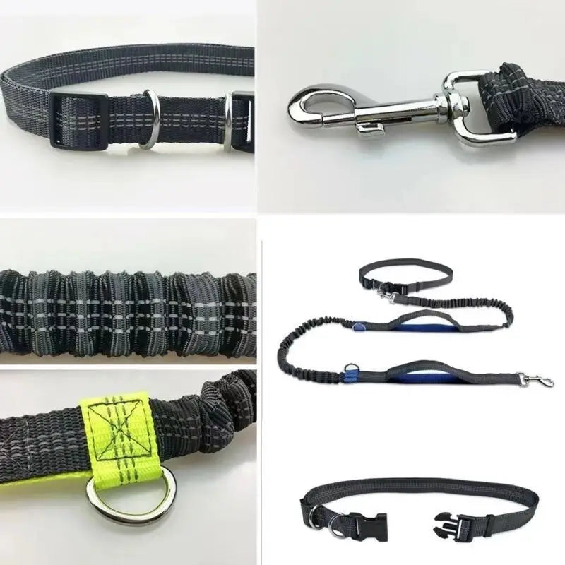 2025 NEW Cat Dog Hands-Free Leash Outdoor Sports Running Reflective Elastic Dog Walking Leash Chain Adjustable Pet Supplies