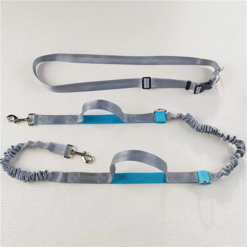 2025 NEW Cat Dog Hands-Free Leash Outdoor Sports Running Reflective Elastic Dog Walking Leash Chain Adjustable Pet Supplies