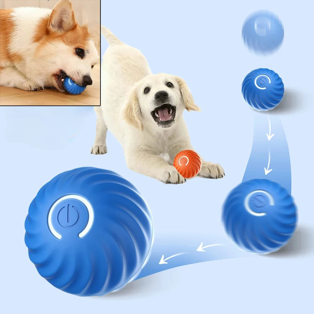 Dog Toy Ball Automatic