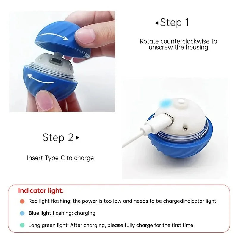Dog Toy Ball Automatic