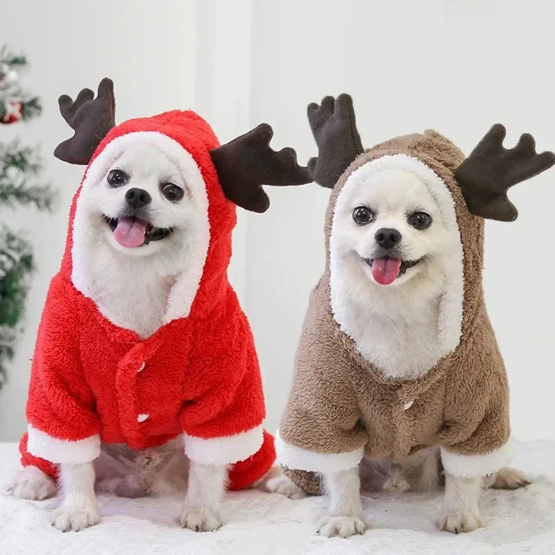 Christmas Pet Hoodie