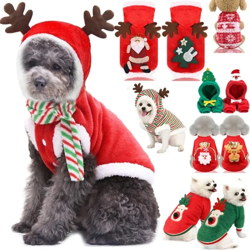 Christmas Pet Hoodie