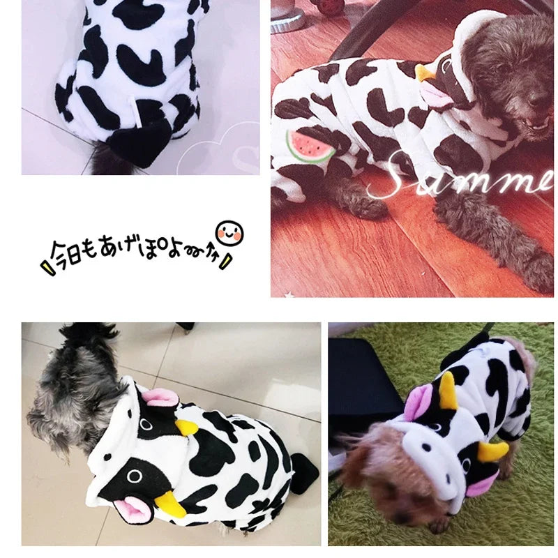 Cute Animal Costume for Dogs & Cats