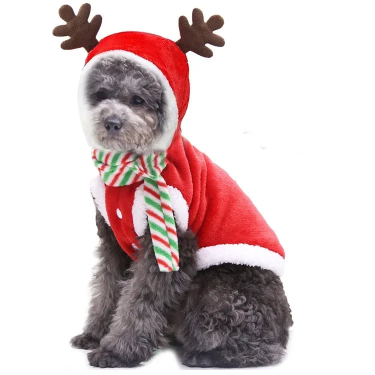 Christmas Pet Hoodie