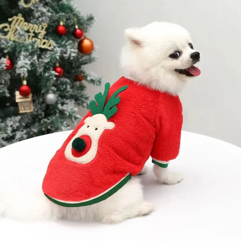 Christmas Pet Hoodie