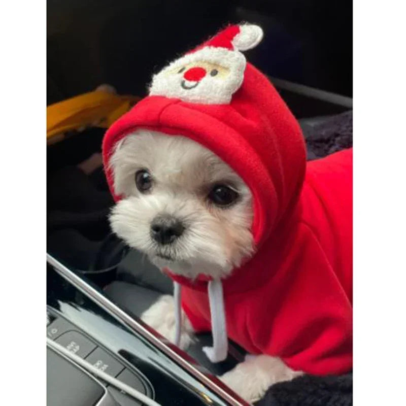 Christmas Pet Hoodie