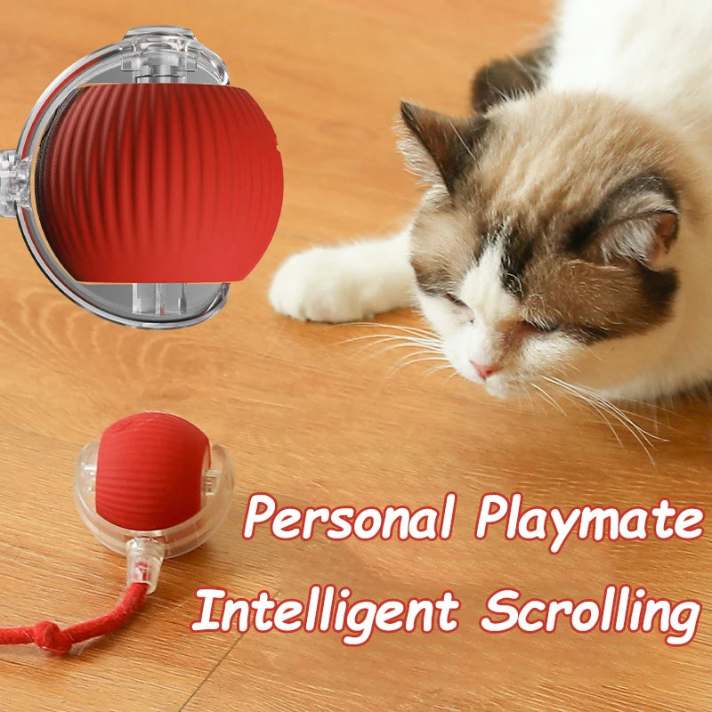 Cat Toy Ball Tail Automatic
