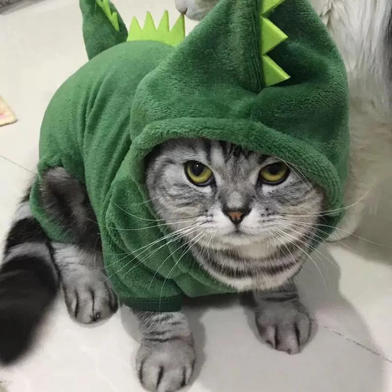 Cute Animal Costume for Dogs & Cats