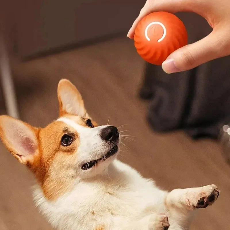 Dog Toy Ball Automatic