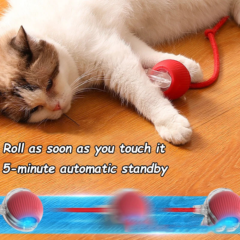 Cat Toy Ball Tail Automatic