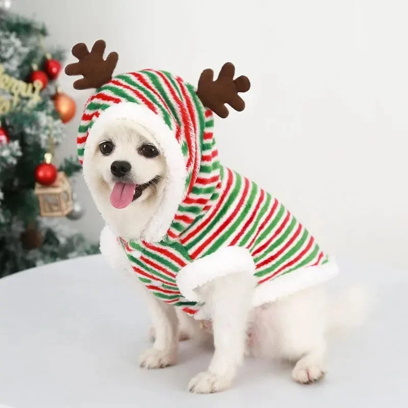 Christmas Pet Hoodie